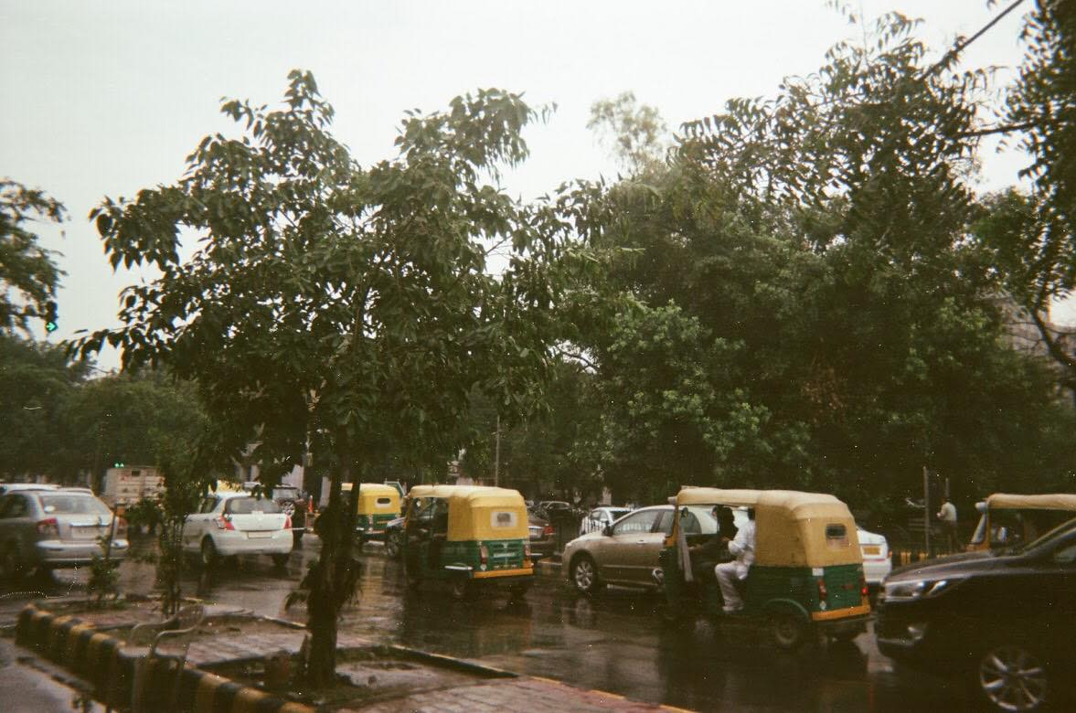 gallery picture